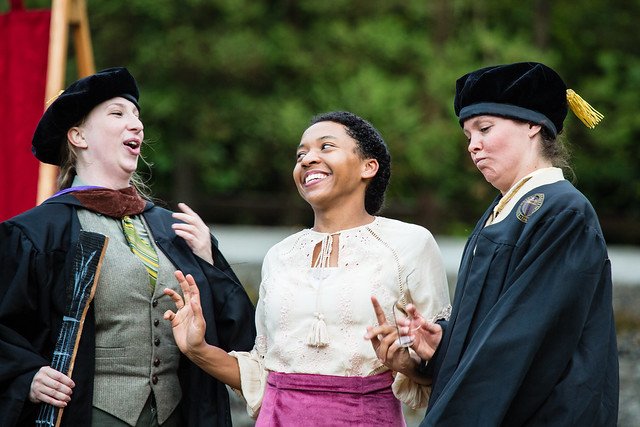 Green_Stage's tweet photo. It's our last week of shows for the summer. Tonight: The Taming of the Shrew, 7pm at Volunteer Park. FREE! Go see a play! https://t.co/kjY0K6N2VO