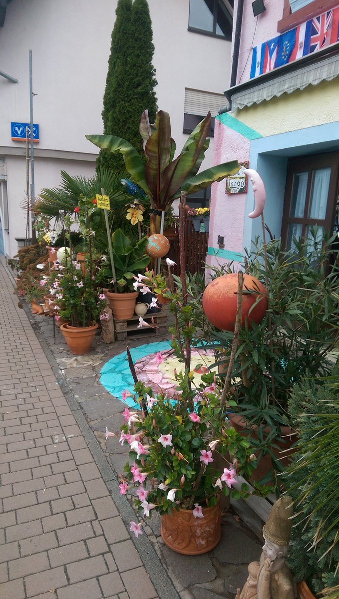 khschmitt77's tweet photo. Wünsche allen Twitter Freunde eine schöne Woche !! https://t.co/OwM8zOtwkT