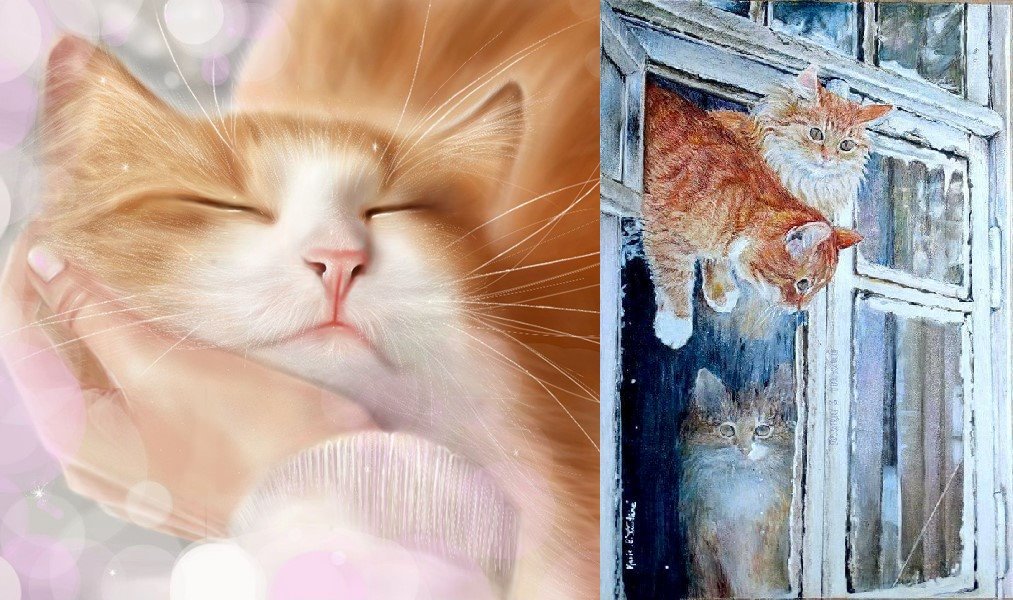 🐾ARTE DE UM GATO🐾 tweet media