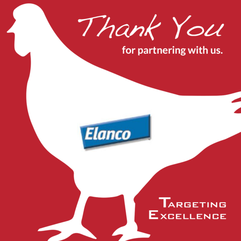 TargetingExcel's tweet image. A big THANK YOU to Elanco for being one of our 2019 Gold level sponsors for Targeting Excellence! With your help we are able to continue helping with the dreams and goals of young, future farmers.