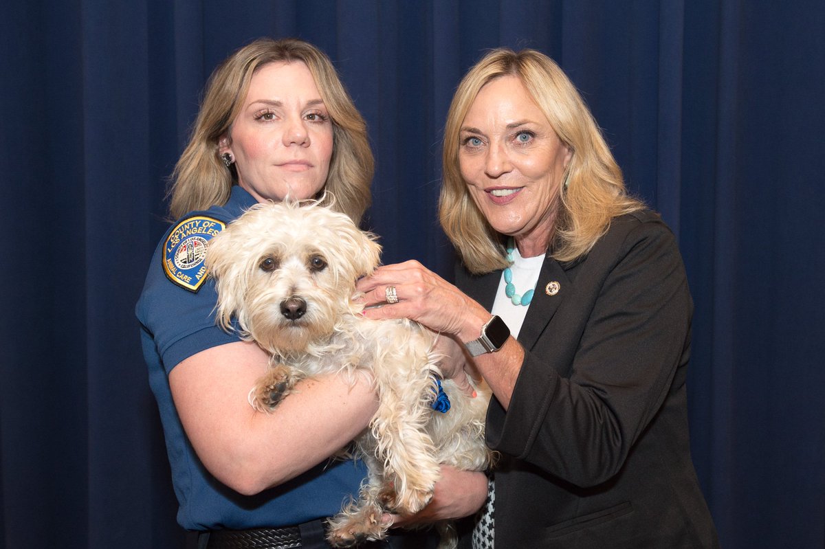 kathrynbarger's tweet photo. With a dog's name like Cannoli, how could you not see how sweet these pets are? Consider fostering or adopting a cat or dog from your local animal care center! @LACoAnimalCare https://t.co/mV2lUuZuVq