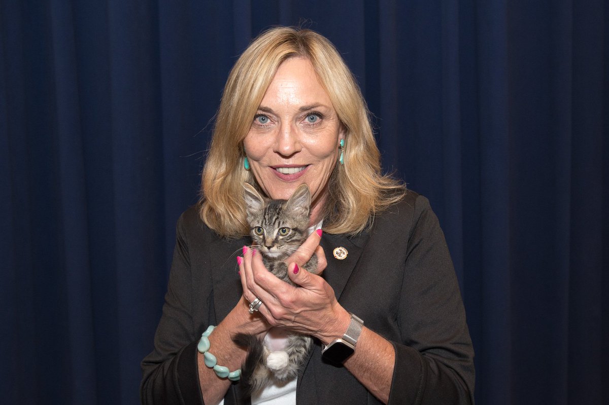 kathrynbarger's tweet photo. With a dog's name like Cannoli, how could you not see how sweet these pets are? Consider fostering or adopting a cat or dog from your local animal care center! @LACoAnimalCare https://t.co/mV2lUuZuVq