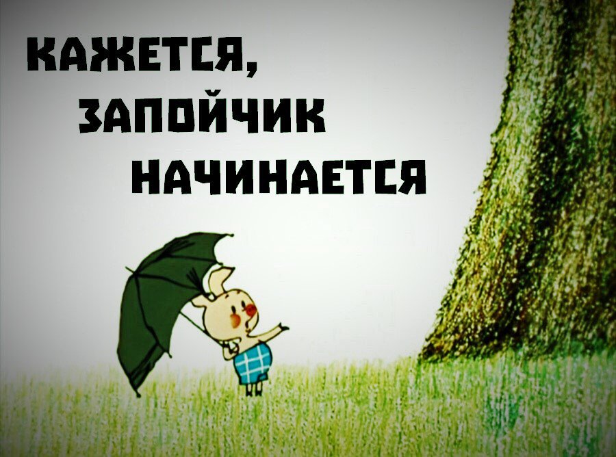 Картинки про запой прикольные, гифки про животных