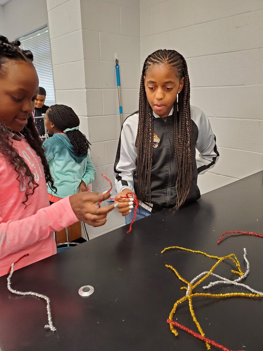 mrsjtscience's tweet photo. Pipe cleaner partner challenge from @VivifySTEM @EJHSBulldogCtry @Kathy58190181 @suptking #streamfcps1920 A twist on an old favorite! https://t.co/whwnu42wJX