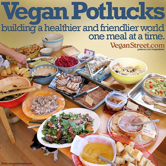 VeganFallacy's tweet photo. Happy 13th of #Augustatory!

One effective forms of animal-rights advocacy is sharing good plant-based food. Going to a picnic is an opportunity to change hearts and minds. What's YOUR favorite recipe to bring?

#VeganStreet #YourVeganFallacyIs #AnimalRights #SocialJustice #Vegan https://t.co/7UxyFR3mYS