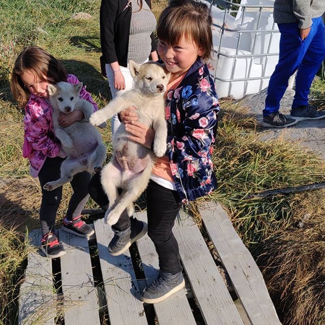 Ilasiaq's tweet photo. Love doggies 😍 https://t.co/5ceNnjauGx https://t.co/H390V6XHhu