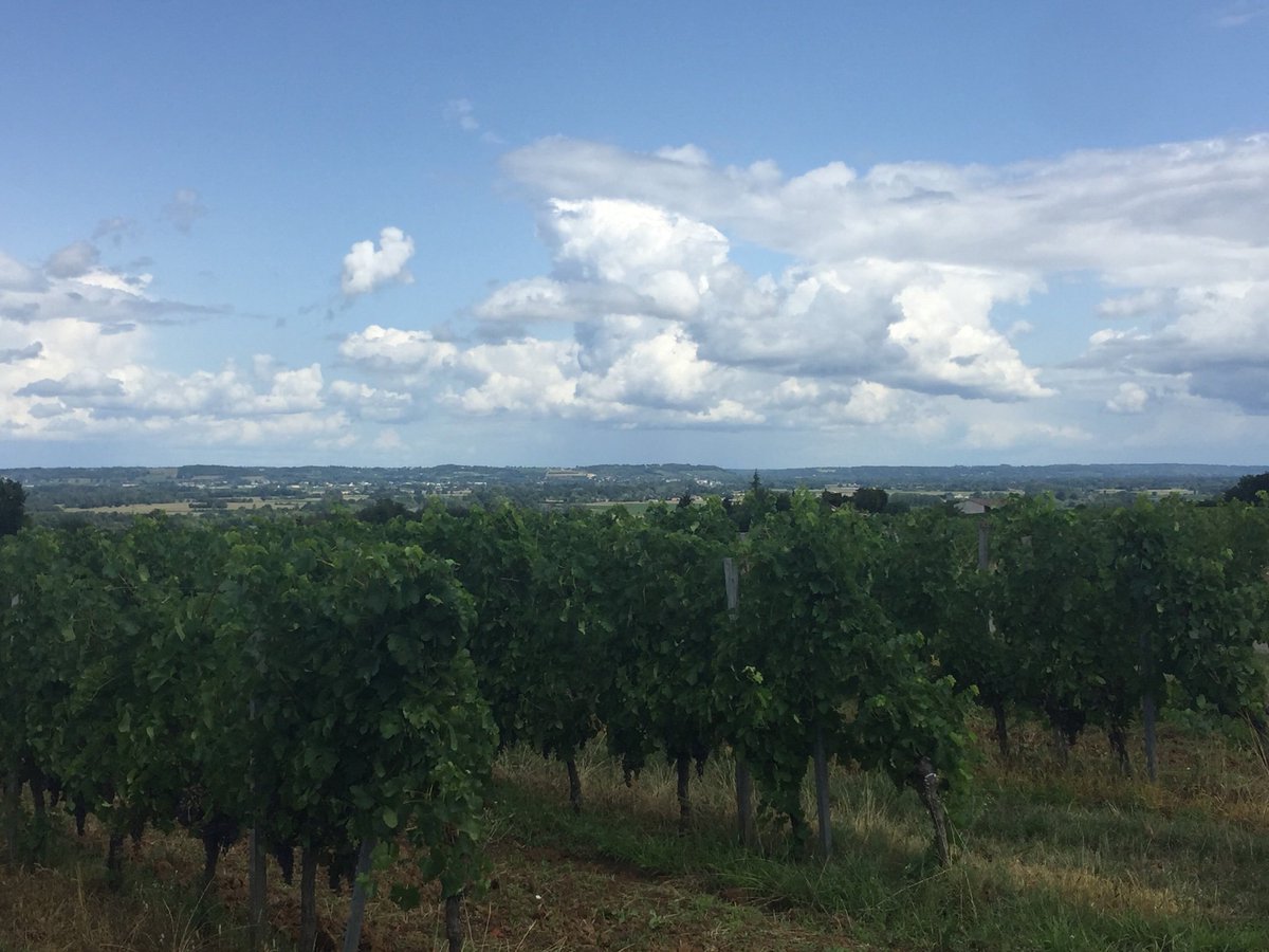 Crebassa damien tweet media