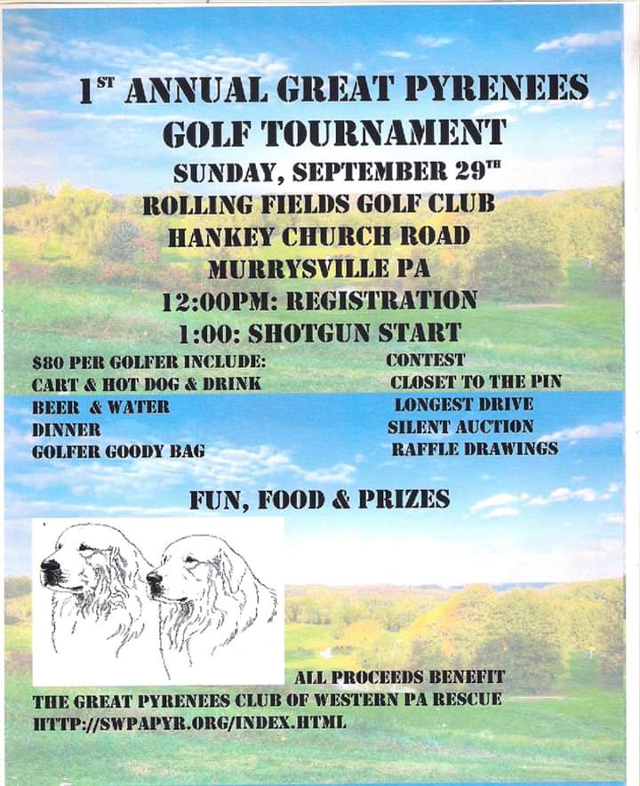 janice524's tweet photo. #golf #greatpyrenees #charity 
Great Pyrenees Golf Tournament looking for golfers and sponsors https://t.co/hEds8ClQ6A
