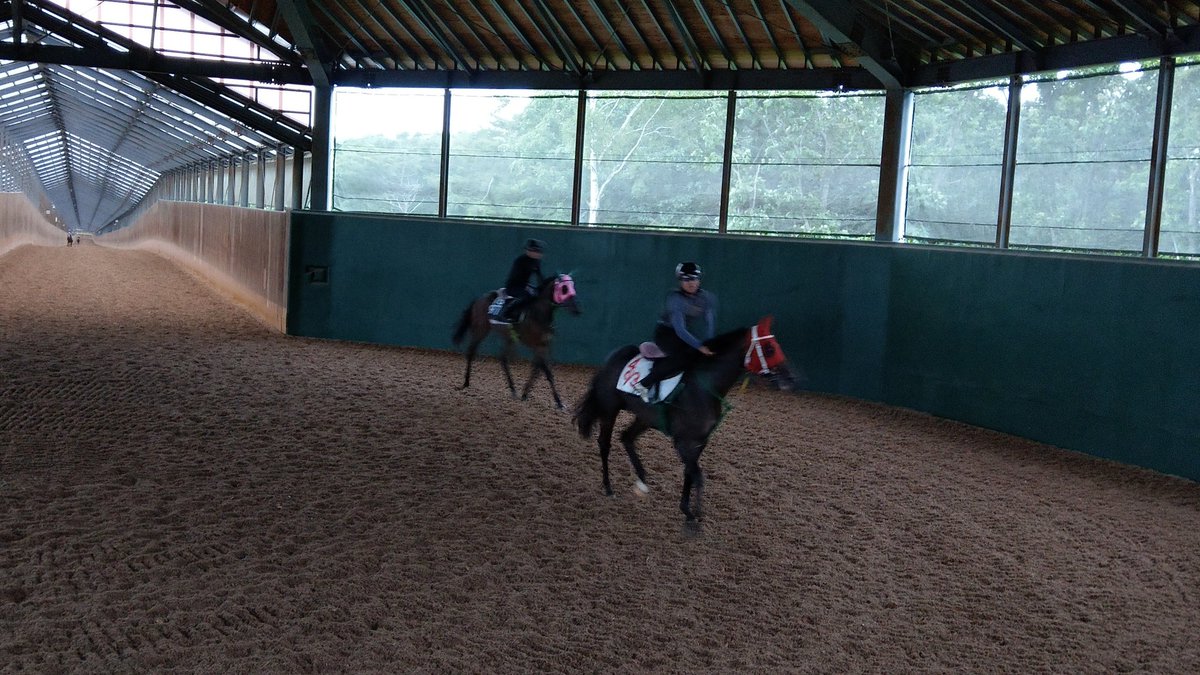 がんばれ ホッカイドウ競馬 クローバー賞組追い切り けさはクローバー賞 8 18 出走組の追い切りが行われています 先陣を切ったのはヘイセイメジャー 宮崎騎手を背に 坂路3f35 6 23 7 12 1をマークしました 一杯に追う 3歳c4サダムシオ