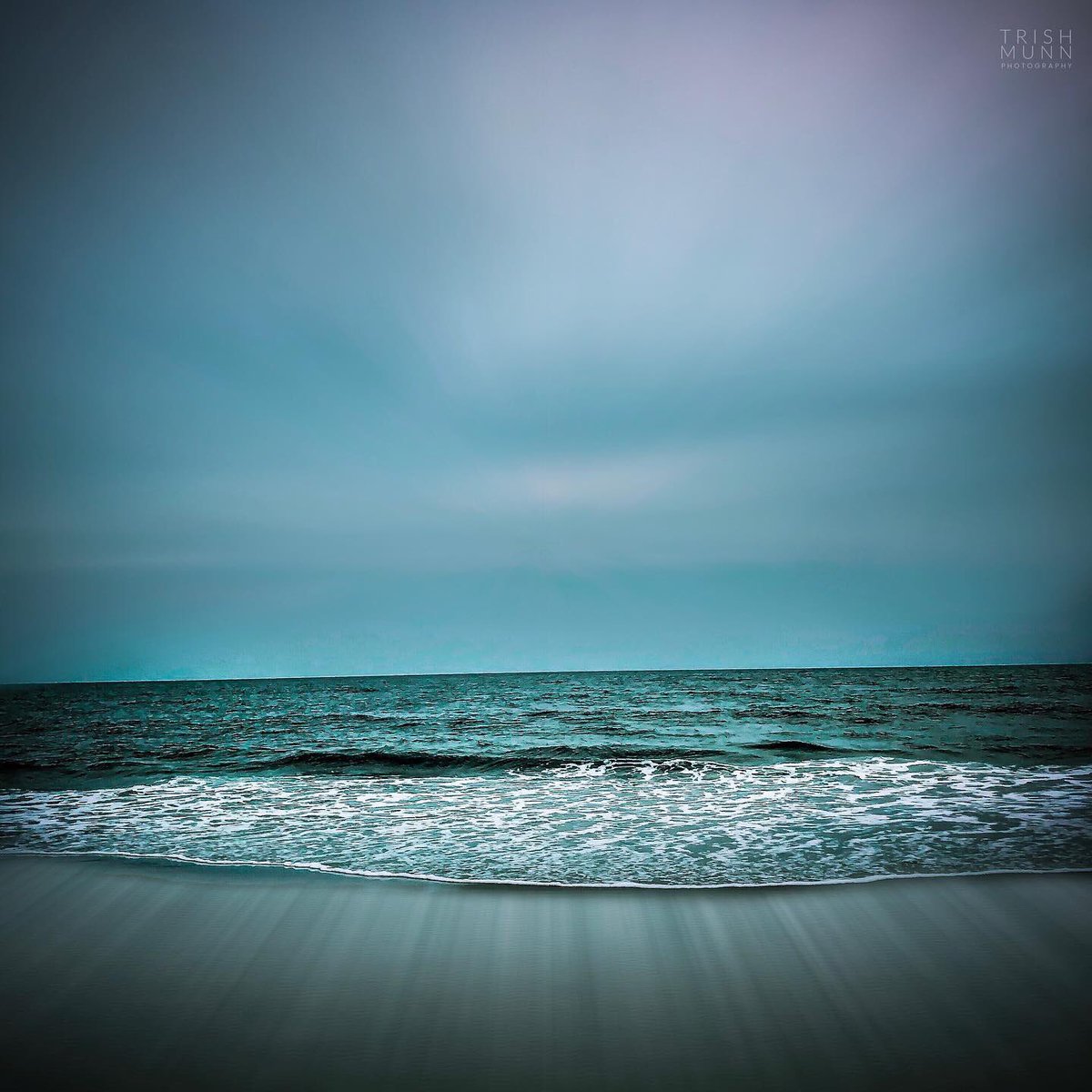 Trish Munn TV tweet media