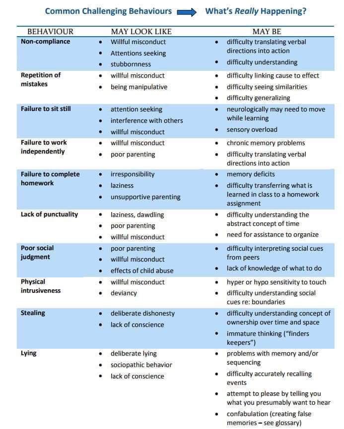 StressFreeKids's tweet photo. RT @itsabouteffort: See a different child - see a child differently #sel #thirdpath #reframethebehaviour https://t.co/5wVlLuZfFl