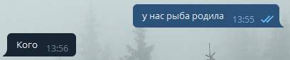 Darya tweet media