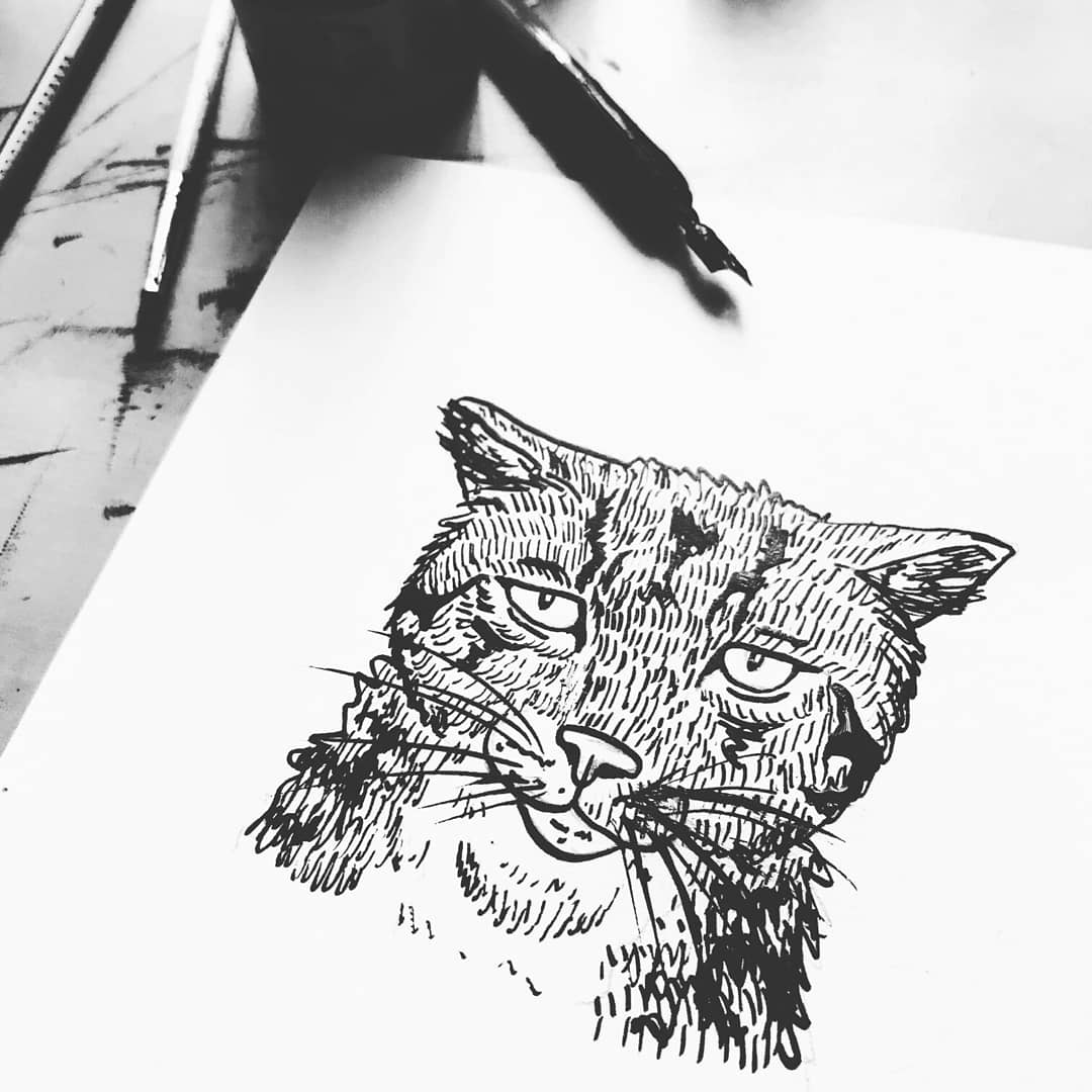 KT_illustrates's tweet photo. A trio of cats ๐ฑ #cat #catillustration #feline #catart #petportraits #inksketch #indianink #sketch #illustration #winsorandnewton #art #animalillustration #ArtistOnTwitter #blackandwhite #petprotrait #dippen #dippenandink #dippendrawing #grumpycat #catlove #tabbycat #tuxedocat https://t.co/NKUCvCTuop