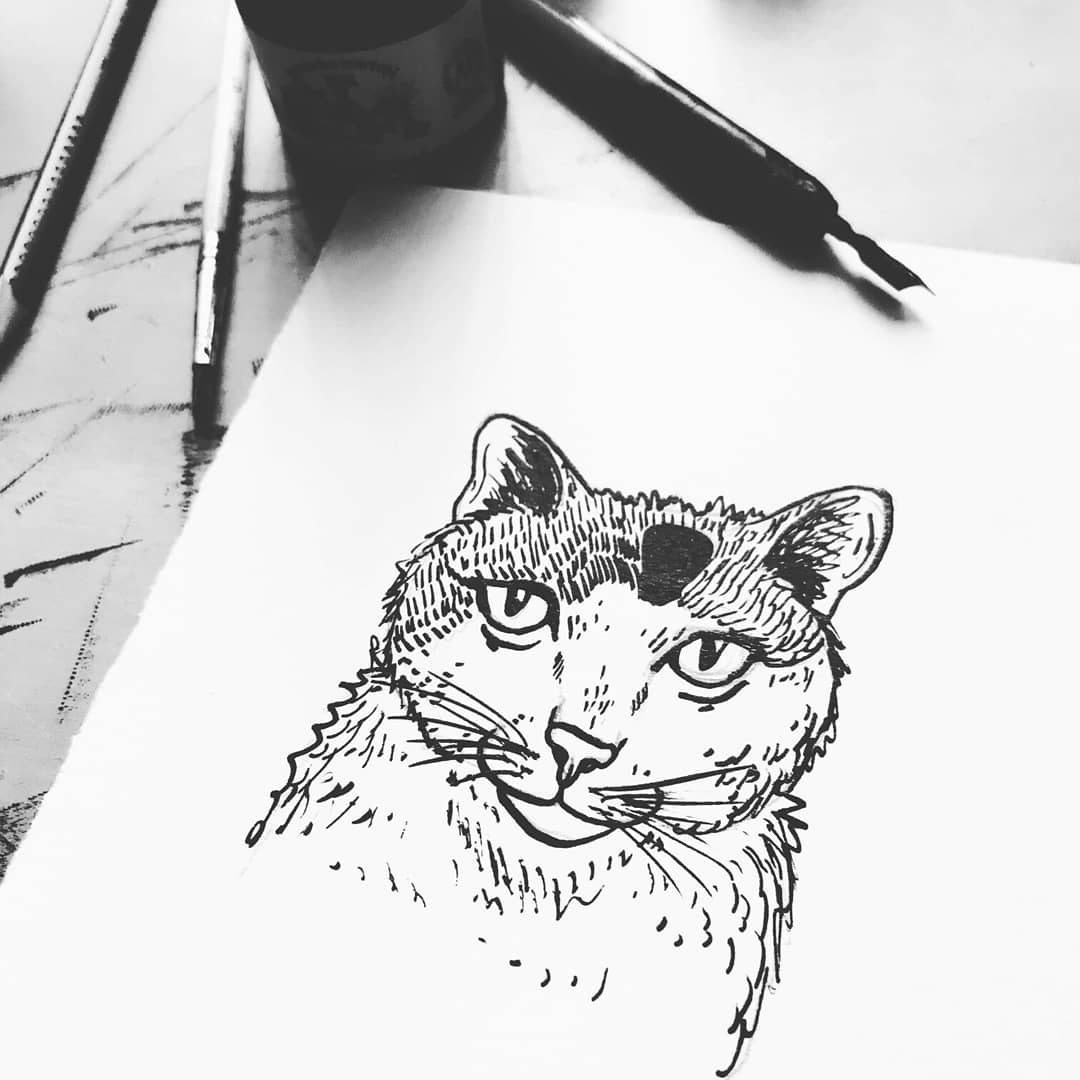 KT_illustrates's tweet photo. A trio of cats ๐ฑ #cat #catillustration #feline #catart #petportraits #inksketch #indianink #sketch #illustration #winsorandnewton #art #animalillustration #ArtistOnTwitter #blackandwhite #petprotrait #dippen #dippenandink #dippendrawing #grumpycat #catlove #tabbycat #tuxedocat https://t.co/NKUCvCTuop