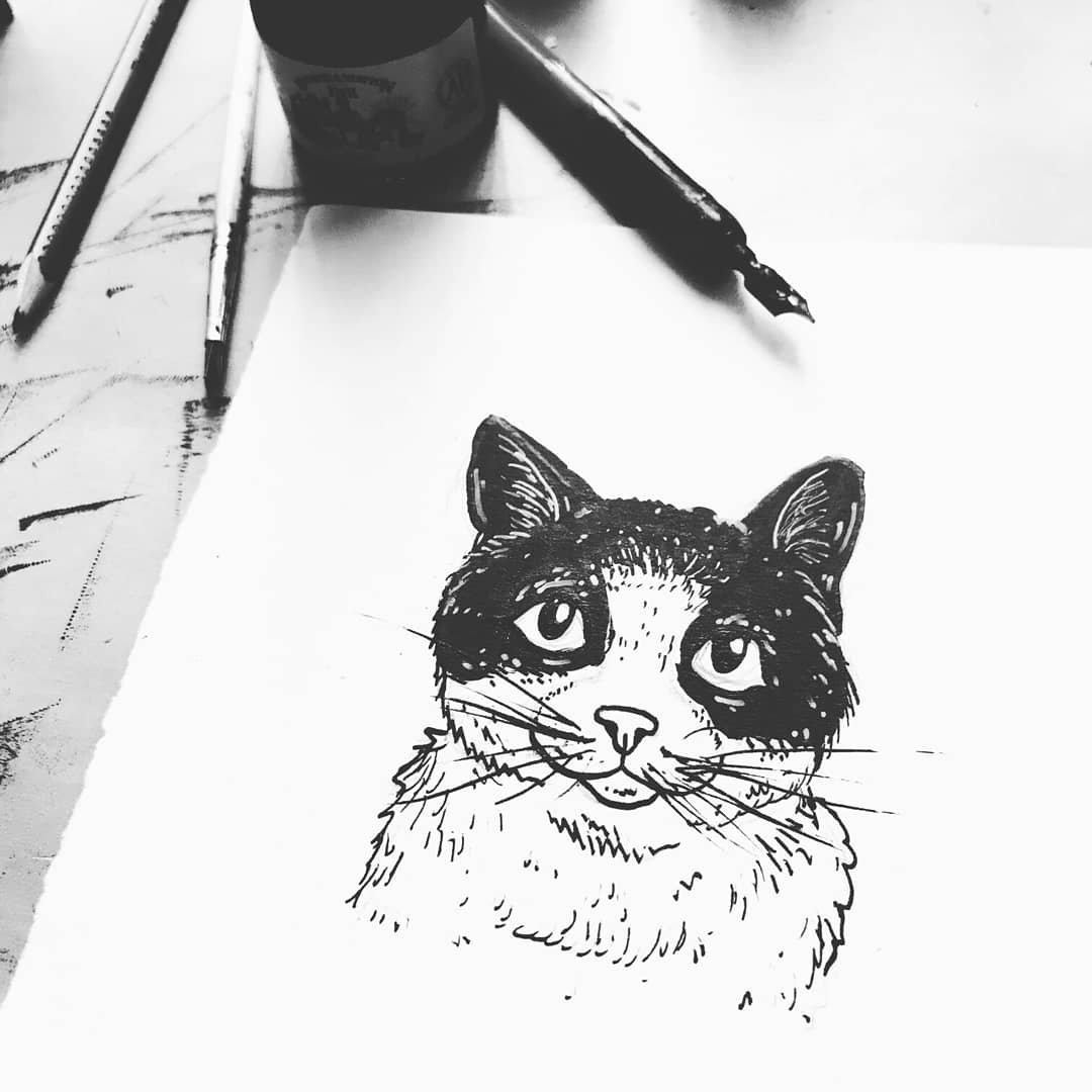KT_illustrates's tweet photo. A trio of cats ๐ฑ #cat #catillustration #feline #catart #petportraits #inksketch #indianink #sketch #illustration #winsorandnewton #art #animalillustration #ArtistOnTwitter #blackandwhite #petprotrait #dippen #dippenandink #dippendrawing #grumpycat #catlove #tabbycat #tuxedocat https://t.co/NKUCvCTuop