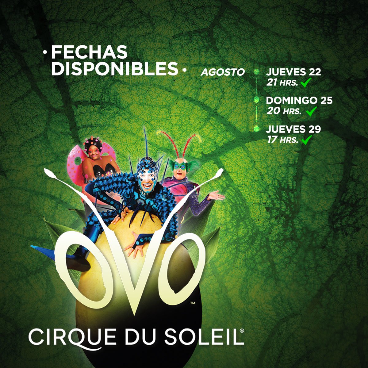 CirqueSoleilCL's tweet photo. ⭐ Quedan solo 9 días para #OVOSantiago ⭐

Últimos 200 tickets 👉🏻 Aprovecha la función del 25 de agosto a las 8pm, es la que tiene más asientos disponibles 🎟 compra ahora aquí https://t.co/fFtdEBkwYu

#CirqueDuSoleil en Chile 🌞 https://t.co/56PDIX22uN