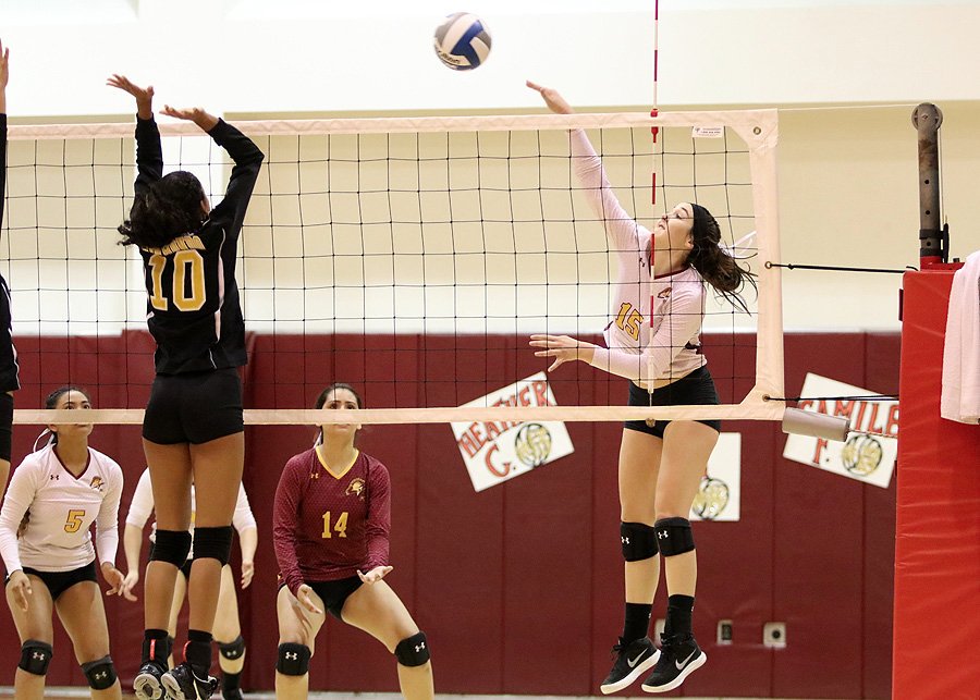 PCCAthletics's tweet photo. Women's Volleyball Update: Returning All-South Coast Conference outside hitter Janell Currier leads the Lancers into the 2019 season later this month. PCC won back-to-back SCC North Division crowns under head coach Mike Terrill in 2017-2018. https://t.co/f2IyFUnwlT