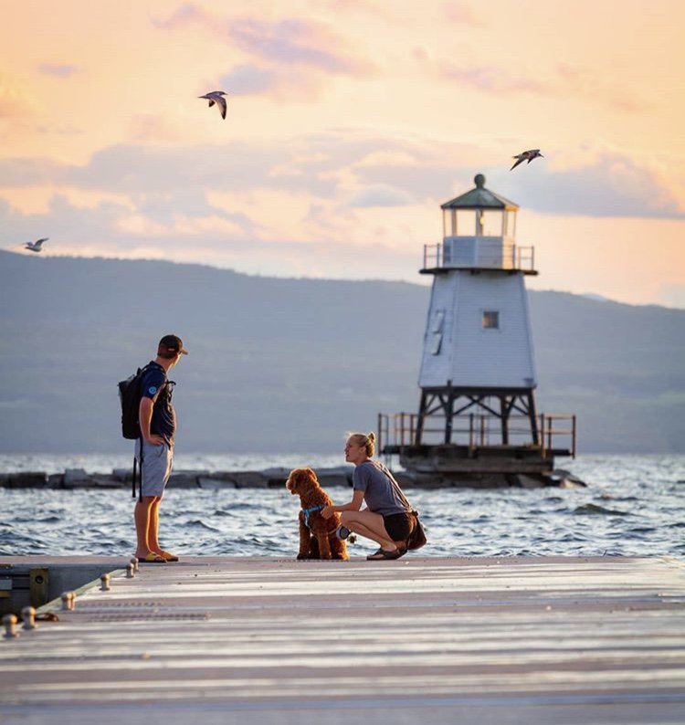 BurlingtonHello's tweet photo. Although the "40 Dog Days of Summer" are now behind us. We are sure your pup wouldn't want to miss out on the action! 

Remember to check the link in our bio, and take our resident survey! 
_____
📸 - @dog_bloggers 
#helloburlington #vt #waterfront #dogs #dogdays #summer https://t.co/Uu7untyB5e