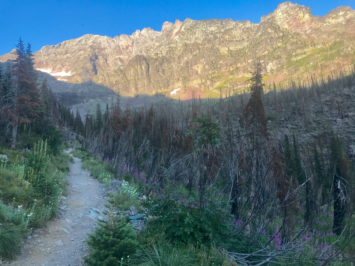 DrLimnology's tweet photo. Seems like time to post a report from our Sperry basin trip in Glacier NP last week. We started in mid-afternoon Sunday to make the 6.5 mi hike to Sperry backcountry campsite. Hot and the trail passed through the big Sprague fire burn from 2017. @FLBSUM #flbs19 https://t.co/oikRyfgtYT