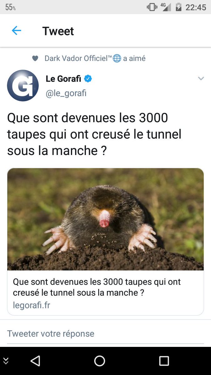lord_silas's tweet photo. @F3Picardie @AmiensMetropole https://t.co/7U8vw2rEG0