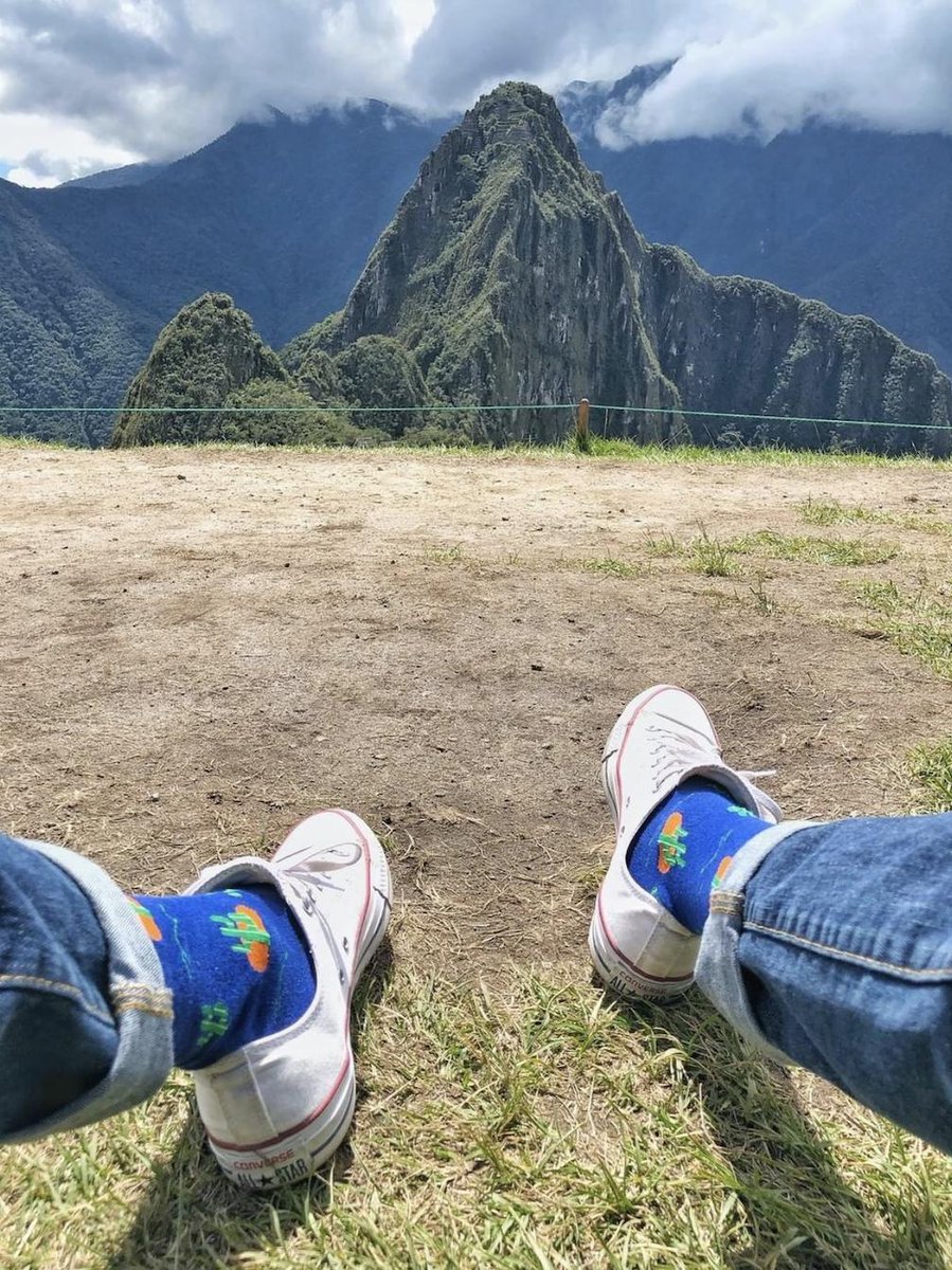SockFancy's tweet photo. The best socks for the job, from the office to Machu Picchu and everywhere in between ✈️ #feedyourfancy https://t.co/lPgY6Av4DR