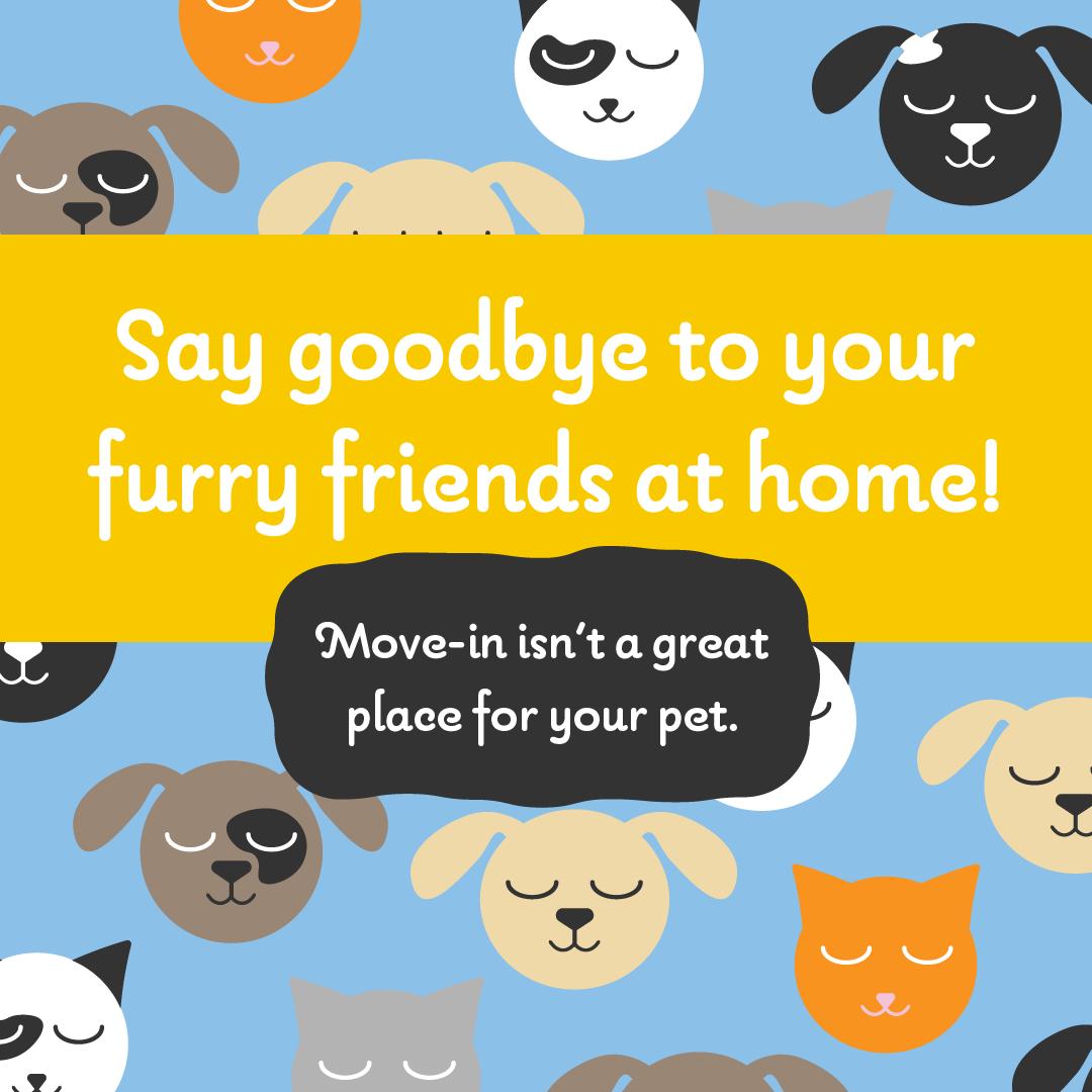 VCU_Housing's tweet photo. Remember to make some great memories with your pets before you move to campus. Saying goodbye to your pets at move-in might sound great, but we promise they will not enjoy the experience. For more move-in information and tips visit https://t.co/jsLH6gU3V6. @vcu #vcuramily #vcu23 https://t.co/KkHr2rDfEh