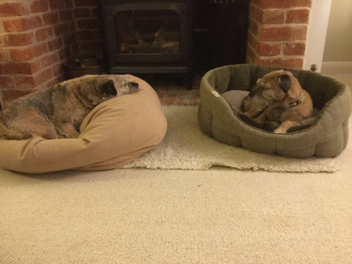 PepperandSpot's tweet photo. #BTPosse #bedswap #sistersFAM @Issiebissy https://t.co/XokOLRYxjw