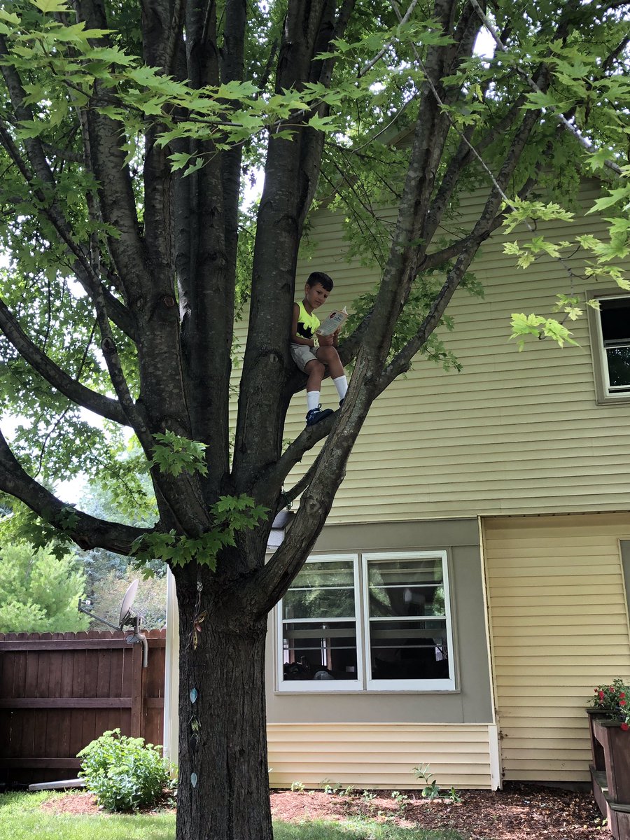 NorthSDMF's tweet photo. COOL CLIMBER! 🌳📚 Austin (new @RiversideSDMF 3rd grader) found a nice reading spot in his backyard! No one can stop him from reading now! 😁 @FallsSchools 

#WhereintheWorldAreYouReading #SummerReads  #fallspride https://t.co/xCAzUI0sf2