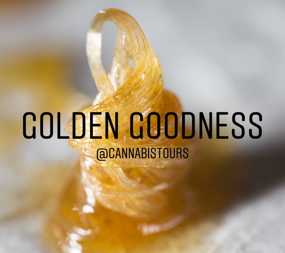 How did you celebrate school starting back this week?! Hopefully with a little golden goodness #StayHighFam 

Don't forget about our Cannabis Hash Class on Fridays with Murph to learn about all things concentrates and make your own! 

coloradocannabistours.com