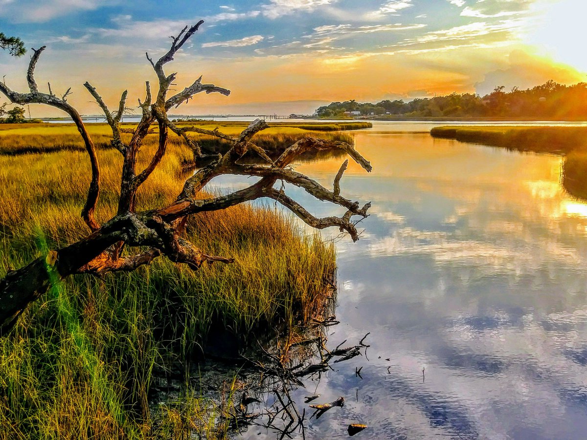 GulfIslandsNPS's tweet photo. #Placeoftheday featuring Davis Bayou overlook. Did you know the Davis Bayou Area is the only mainland area of the national seashore in Mississippi?
Photo of sunset over Davis Bayou by Ashton Strickland
#GulfIslandsNS #TravelTuesday #NationalParks #FindYourSunset https://t.co/FITurpJMzM