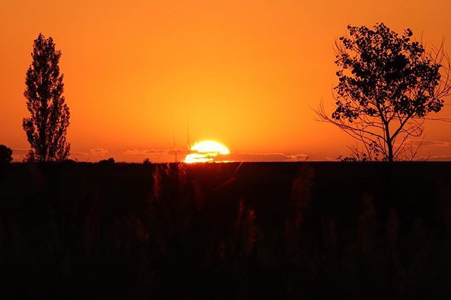 vergara_ripoll's tweet photo. Atardecer propio del Rey León en campos de Castilla. 🌅 🦁
#hakunamatata #elreyleon #thelionking #lionking #atardecer #puestadesol #sunset #sunsetphotography #sunsetlover #photography #photolovers #cylesvida #canonespaña #canonstories #summer #summerv… https://t.co/470xCObOA5 https://t.co/pVuGWeYhsu