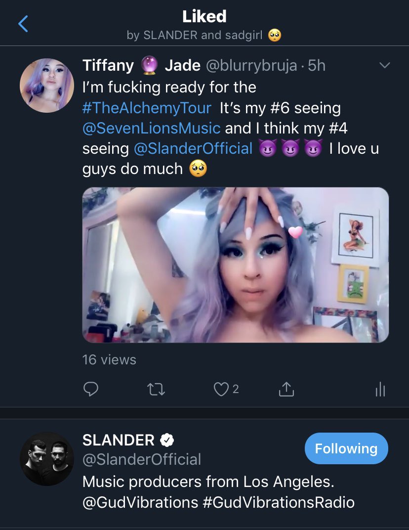 blurrybruja's tweet photo. When @SlanderOfficial likes my tweet. IMMA SHOOT MY SHOT. I’m begging with all of my smol self to drop your remix of “Kill it 4 the kids “ at #TheAlchemytour ! I’ve been going to all of ur shows just hoping You’d drop it 🙏🏻 it gave my fucking chills at ur #edc2016 set !!!!!!!!! https://t.co/jzvOToU2Yk