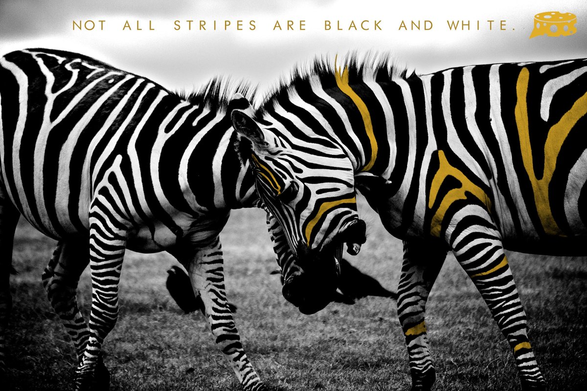 SayCheezePlz's tweet photo. Color outside the lines to create a larger canvas.
-
#SayCheezePlz #branding #logo #zebra #safari #color #outsidethebox #creative #socialmediamanagement #anotherlevel #blackandwhite #nowacceptingorders #openforbusiness #influencers #relax #wework #charge #lines #africa #canvas https://t.co/xU4RDcALCA
