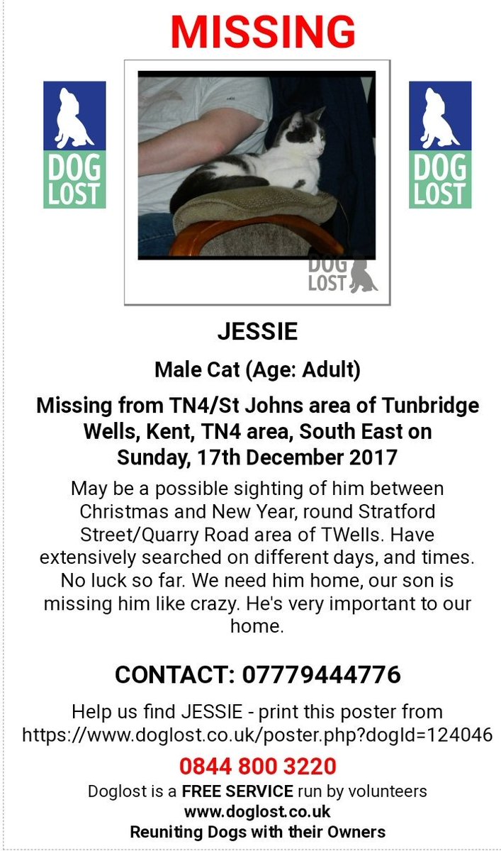 MissingPetsGB's tweet image. 🐱JESSIE is a long term #missing #cat last seen 17 Dec 17 &amp;amp; is terribly missed by his family. #Lost in #TN4/St Johns area of Tunbridge Wells #Kent
Jessie has a pink nose with a black dot.
Possible sighting round Stratford Street/Quarry Road area of TWells. doglost.co.uk/dog-blog.php?d…