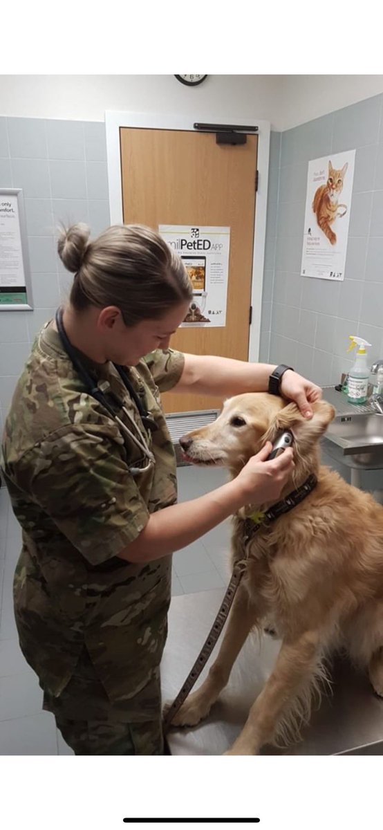 GoArmyDFW's tweet image. From the waters off Greece to the sands of Morocco this vet tech Soldier is killing the game while living in Italy. She’s getting paid to treat animals, travel and lift weights. This could be you in the future!! Let the Army take you places you never thought possible. 🏋🏻‍♀️🇺🇸🙌🏼
