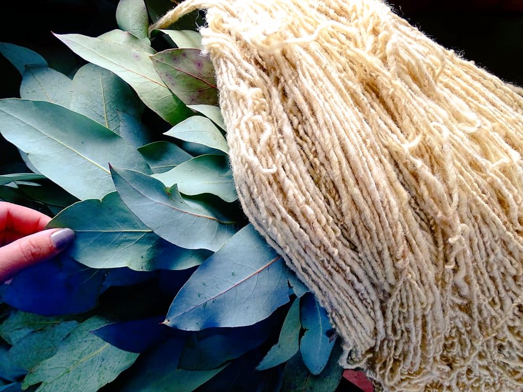 chilwense's tweet photo. Proceso de teñidos naturales https://t.co/EL1A5NXZVs