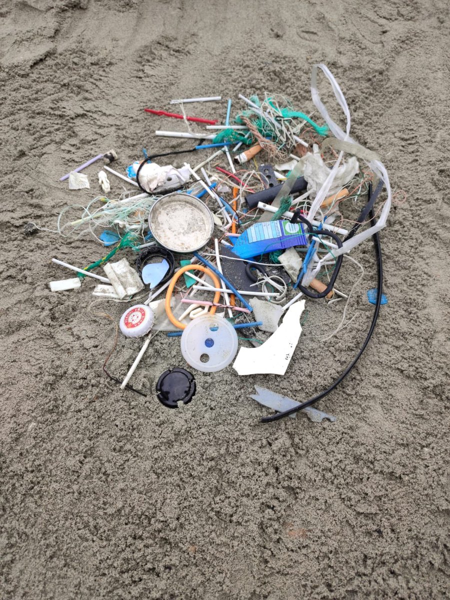 SeanRunchman's tweet photo. Had a great day on one of England’s finest beaches today. But we were camped in a small spot about 6 sq metres and this is how much waste we found in the sand. The beach is awash with plastic! #westwittering @TheSouthDownsNT #plasticwaste https://t.co/Uc8UPGz24w