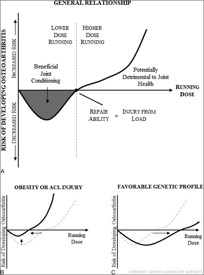 view the process of education 1977