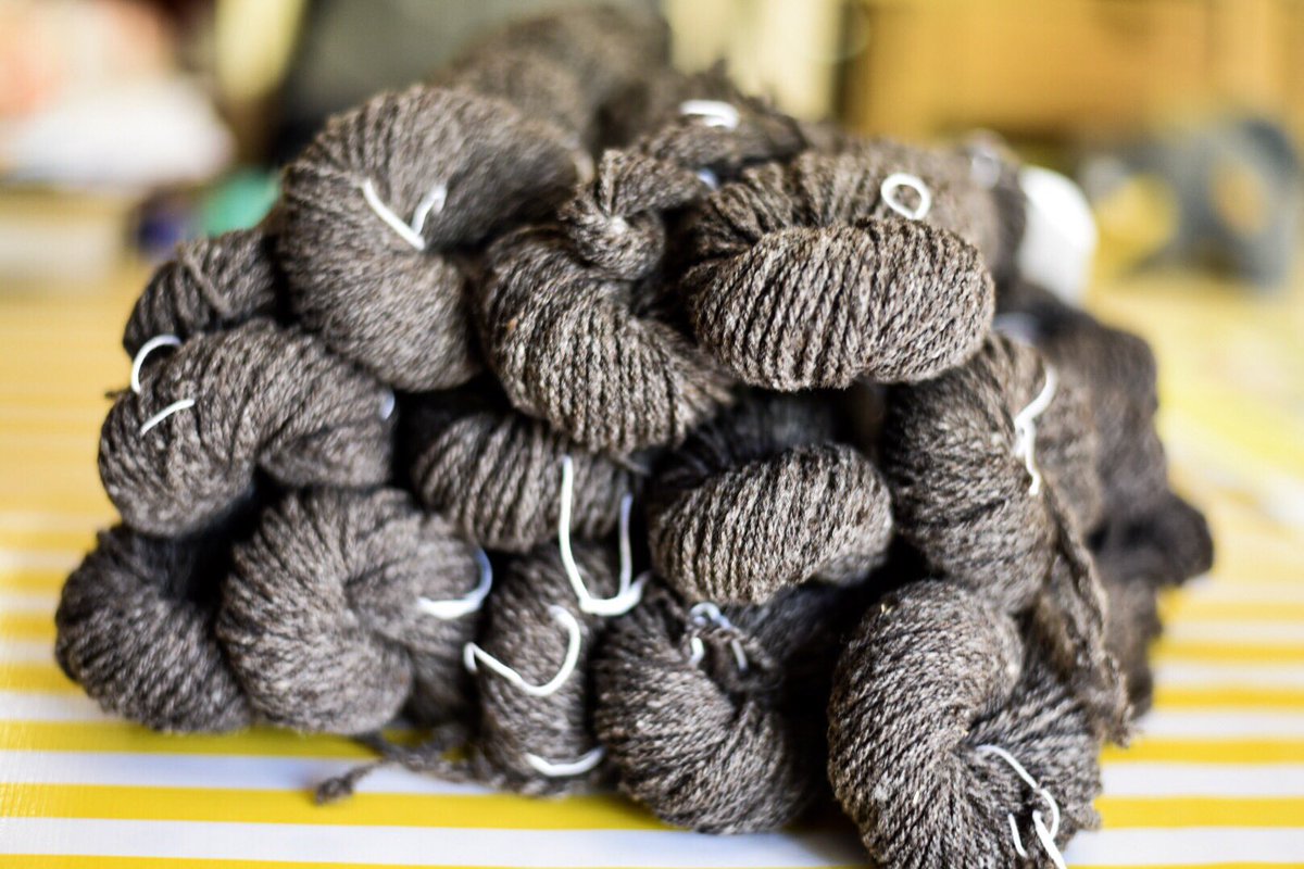 DahlingDaughter's tweet photo. Ah, a hillock of finished handspun. 1568 glorious yards, or 5735 #stashdash2019 meters. 
-
#beatbostonjen #teamcuteknitter #spinnersofinstagram
-
[image description: 13 skeins of dark brown heathered deliciousness on a yellow and white striped tablecloth] https://t.co/dnMVDArsvu