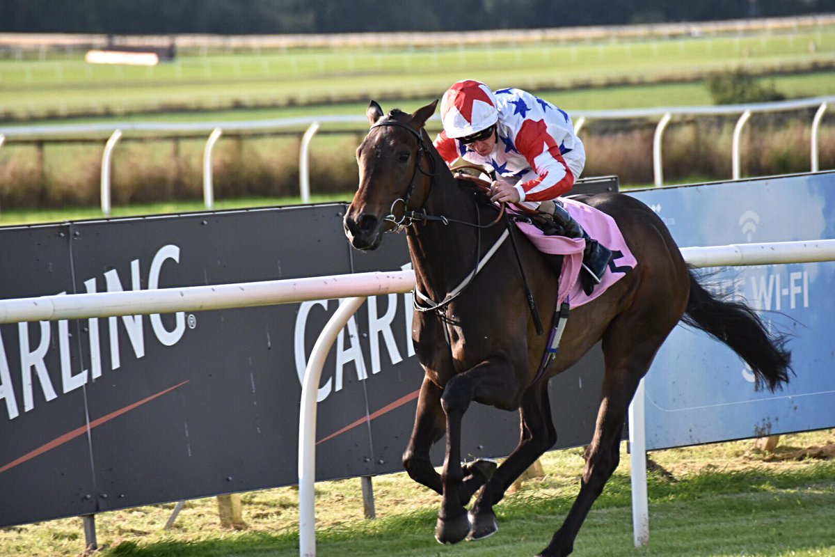 mrossi11's tweet photo. Looks a very nice horse #RomanStone Excellent #winner for @DalgleishRacing and a double for #JoeFanning #CarlisleRaces https://t.co/vTt2LyEwIv