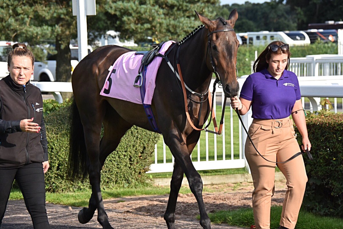 mrossi11's tweet photo. Looks a very nice horse #RomanStone Excellent #winner for @DalgleishRacing and a double for #JoeFanning #CarlisleRaces https://t.co/vTt2LyEwIv