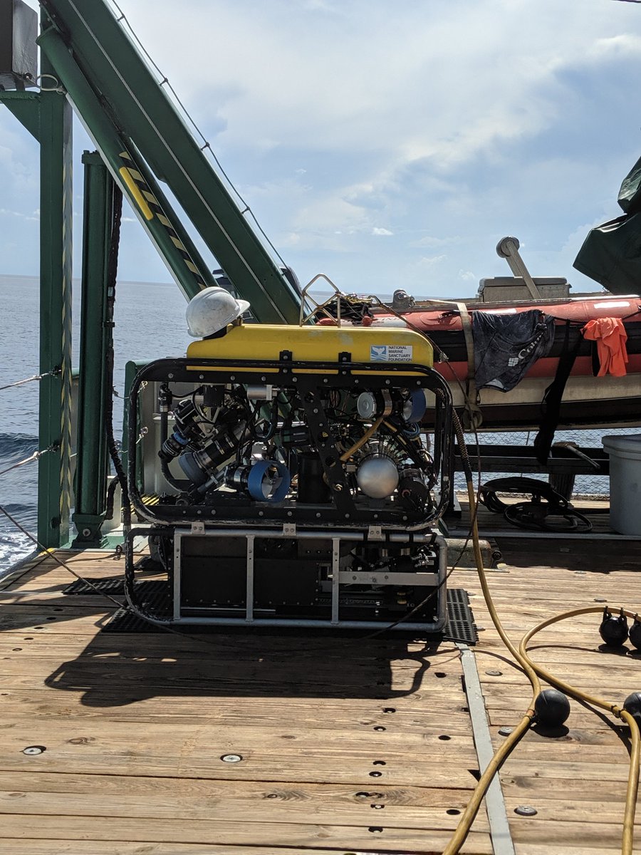 Bri_Varnerin's tweet photo. ROV ops with this beauty start today at noon! First dive of the trip is off #keylargo near #carysfort #reef. Can't wait to see what we find!
#deepreefs #marinebiology #researchcruise https://t.co/uko5Dlh5uP