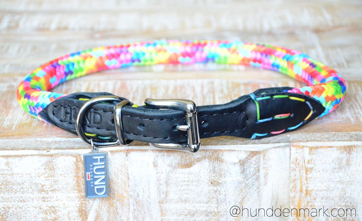 hund dog collars
