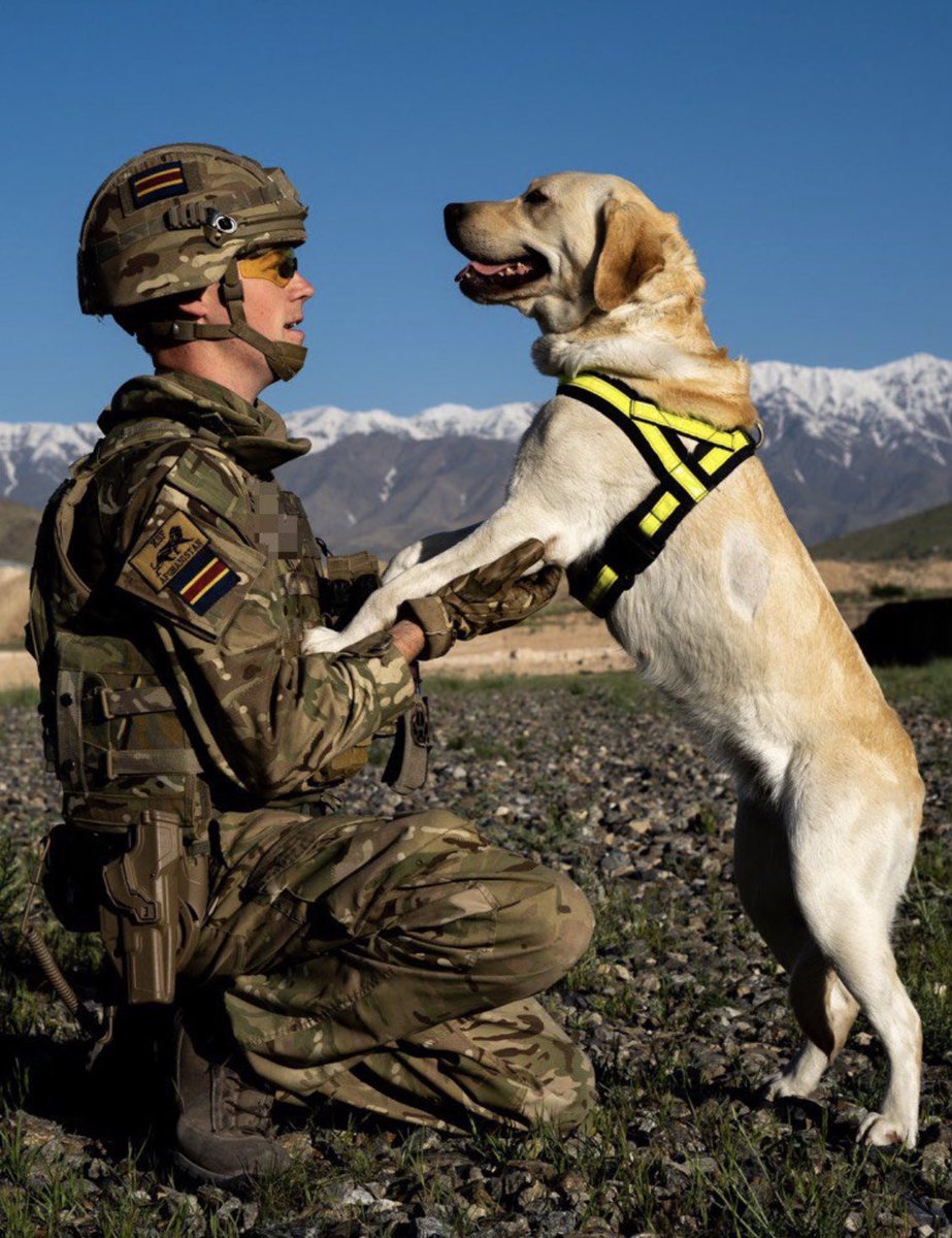 @stephbreakfast Don’t forget that the #BritishArmy (named as a Centrica top 100 Apprentice Employer) offers lots of apprenticeships, across a wide choice of careers: engineering, information &amp; communications technologies, construction, driving and animal care. ➡️ apply.army.mod.uk/what-we-offer/…🇬🇧