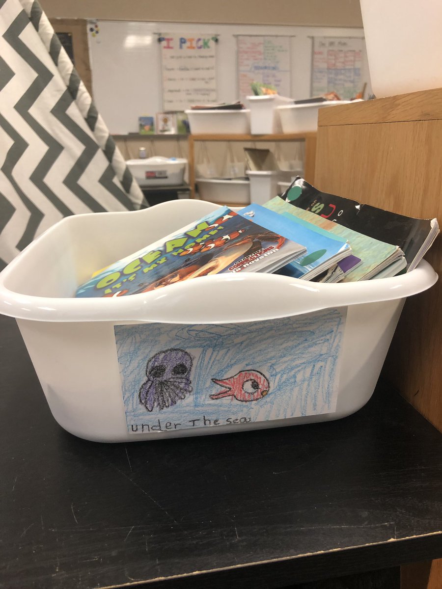 Callie Nulph tweet media