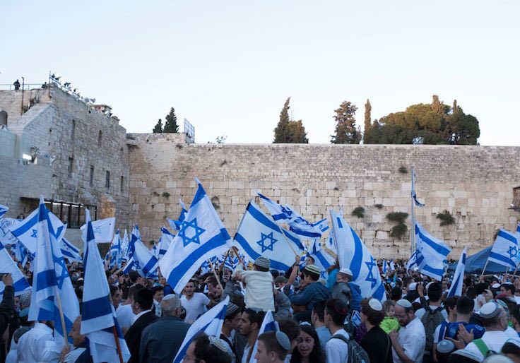 Doggystyle Groomers Exposed: What They Refuse to Show You!