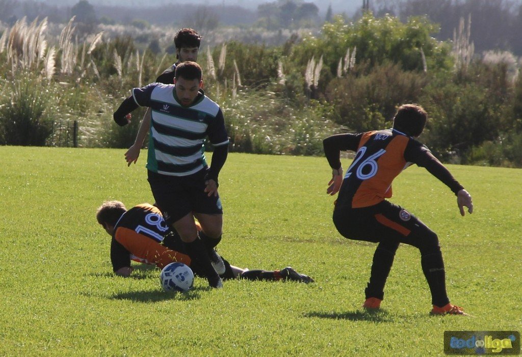 TodoligaTV tweet media