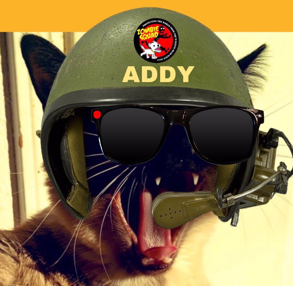 @mrmokeycat @TheSilkies11 @SiameseRescueUK @LBackyards @Miameeze @eeh102 @yvonnemurphy53 @jolenehunter The uniforms are sweet! @HazelandRemy also wanted me to ask you if you’d like them to make you their famous Zombie Detection Combat Glasses (#ZDCG). Here are mine: