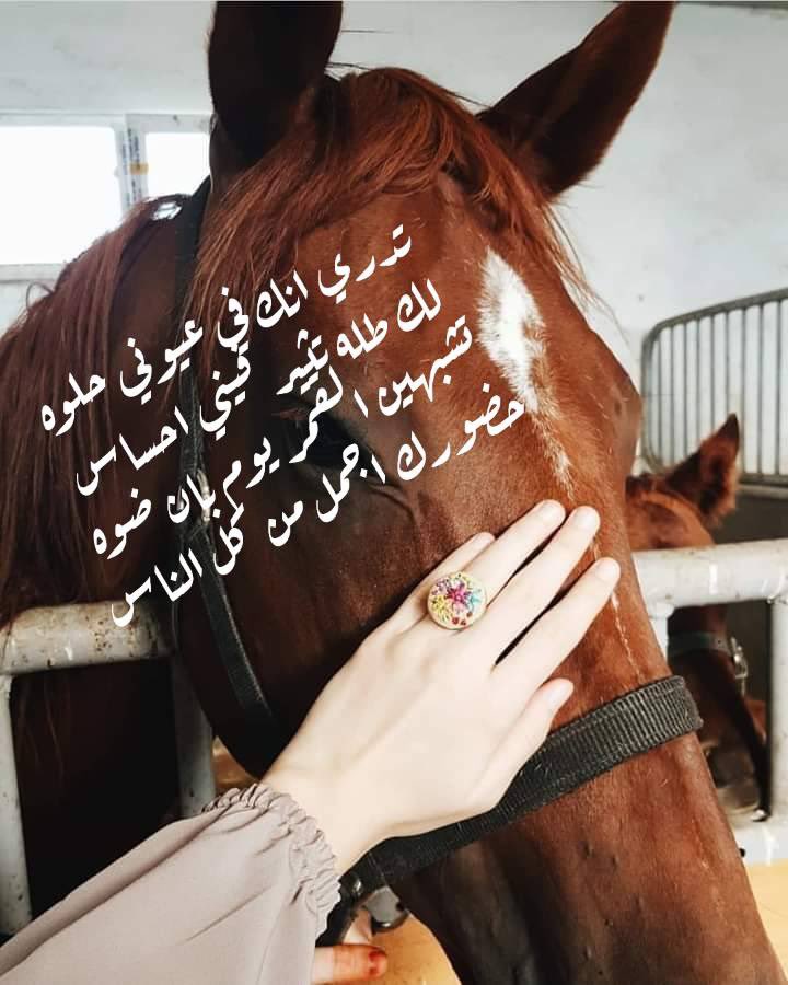 يسلموووو غلاتي 🌹