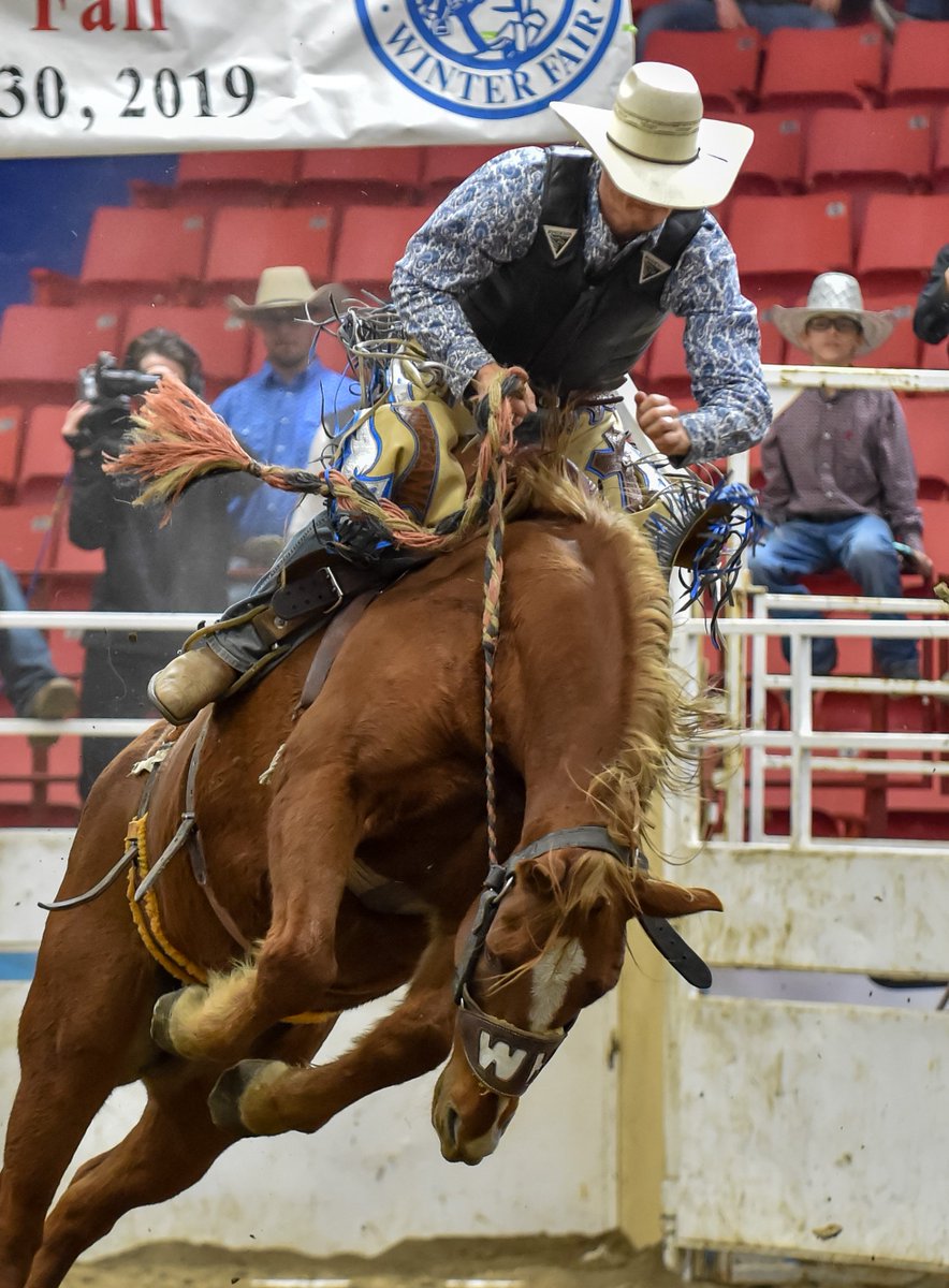 ProvincialEx's tweet photo. Tuesday Vibes!😂
How has this week been treating you so far?
#Provincialex #RMWF #MBSummerFair #MBAGEX #brandonmb #tourismwestman #cafe #brandonfairs #agriculture #rodeo https://t.co/RO62PD3EnI